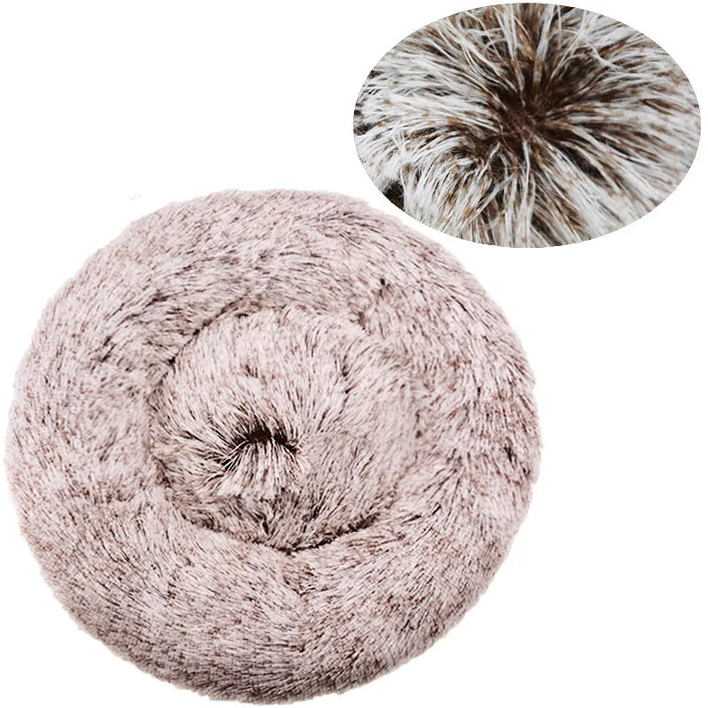 CalmPaw CloudNest™