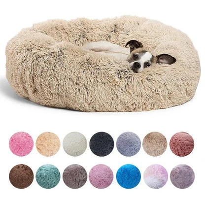 CalmPaw CloudNest™