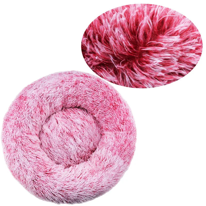 CalmPaw CloudNest™